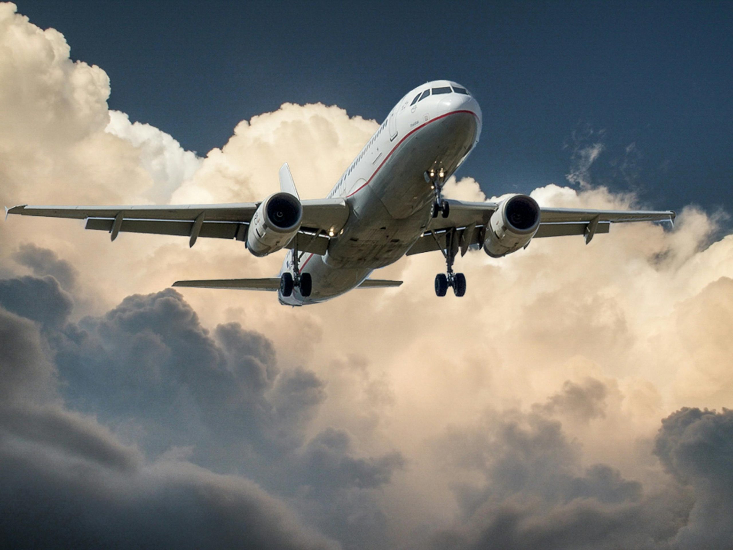 Top 8 tarjetas de crédito para viajar en 2026, Pexels